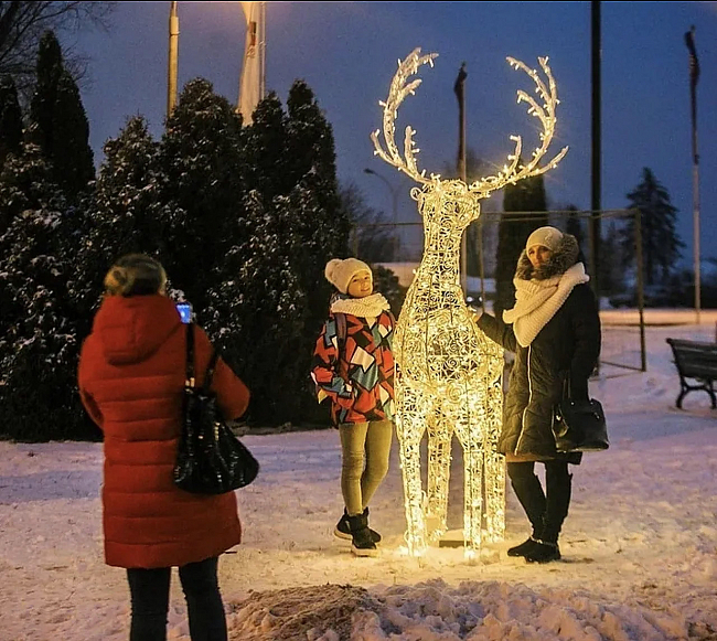 Сведодиодное оформление парков, фото 8